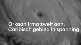 Orkaan Irma zwelt aan Caribisch gebied in spanning  RTL NIEUWS [upl. by Yramanna298]