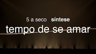 5 a seco  síntese  tempo de se amar OFICIAL [upl. by Walter]