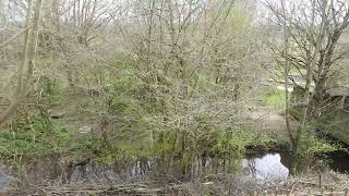 Creswell Crags 2022 Video 3 [upl. by Auqinihs]