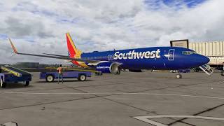 XPlane 11  Zibo B737800  KPDX KSFO Pilotedge [upl. by Euginimod514]