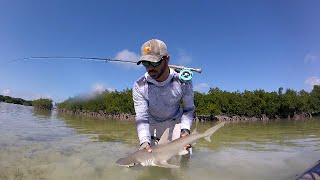 Fly Fishing for Bonnethead Sharks [upl. by Wivinia771]