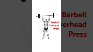 Master the Barbell Overhead Press Total Upper Body Power Move 💪 fitnesstips motivationworkouttips [upl. by Valli]