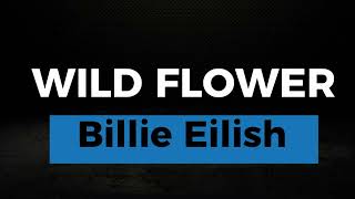 WILD FLOWER KARAOKE BILLIE EILISH [upl. by Aretse]