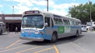 Montreal Historic Buses GM New Look quotFishbowlquot 33008 GM Classic 55001 and GM New Look 14008 [upl. by Jack]