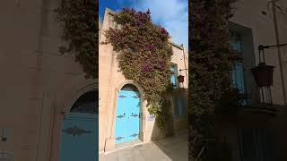 🔷 Mdina Malta Unique Medieval Architecture 🇲🇹 malta mdina walking medieval mediterranean [upl. by Enamrahc]