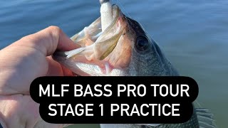 MLF Bass Pro Tour Practice Toledo Bend PrespawnWinter Bass Fishing [upl. by Laoj]