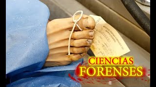 Así son las Ciencias Forenses [upl. by Bricker]