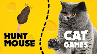 CAT GAMES realistic MOUSE HUNT ★ video for cats with mice 1 hour ★ games FOR CATS [upl. by Trevorr]