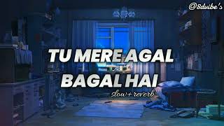 Tu Mere Agal Bagal Hai  slow and reverb  Phata Poster Nikla Hero  Song by Milkha Singh [upl. by Saree]