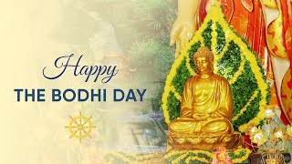 Happy Bodhi Day ☸ ☸ ☸ bhuddha bhuddism bhuddist [upl. by Sobel]