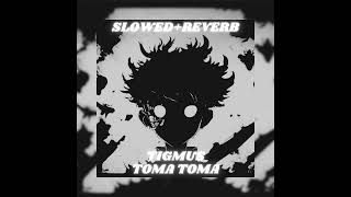 Tigmus  Toma Toma Brazilian Phonk Slowed  Reverb [upl. by Yessak]