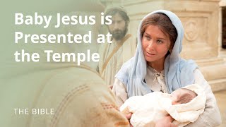 Luke 2  The Christ Child Is Presented at the Temple  The Bible [upl. by Calise]