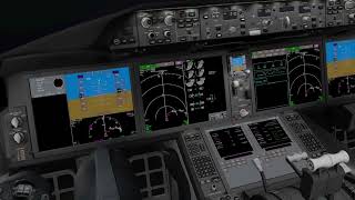 Hard Landing in Tokyo  XPlane 11  Magknight 787  VATSIM [upl. by Edelsten421]