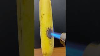 Powerful Lighter vs Banana [upl. by Karlow]