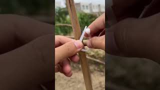 Fastening process of vegetable garden bamboo frame [upl. by Neira]