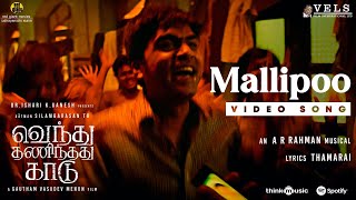 Mallipoo Video Song  VTK  HDR  Silambarasan TR  Gautham Vasudev Menon  ARRahman  Vels [upl. by Wollis]