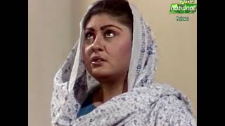 Maidan  Pashto Drama Serial [upl. by Dowzall]