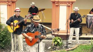 SON ANTILLANO  PICOTEANDO POR AHÍ  MÚSICA TRADICIONAL CUBANA [upl. by Roderic]