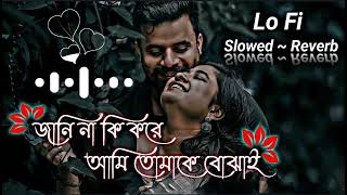 Jani Na Ki Kore Ami Tomake Bojhai Lyrics  জানি না কি করে আমি তোমাকে বোঝাই  SlowedReverb  Lofi [upl. by Klenk]