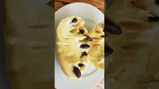 2024 Pawpaw Festivals  America’s NATIVE fruit tree  buy trees taste fruit how to grow Pawpaw [upl. by Aruasi]