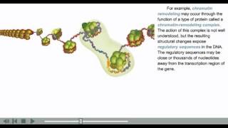 DNA Packaging Animation  chromatin histone and nucleosome modifications [upl. by Loesceke]