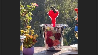 Hummingbirds Love ❤️ My DIY Upcycle Heart Candy Container Hummingbird Solar Fountain Recycle Craft [upl. by Atoel]