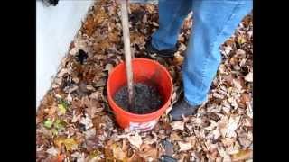 Making Wood Ash Lye from Ash to Crystals [upl. by Weight]