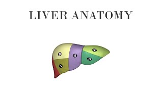 Liver Anatomy PPT Slide Presentation [upl. by Kiraa]