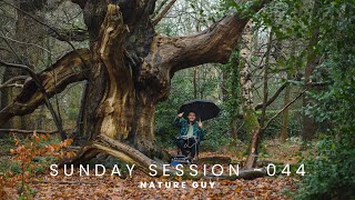 Nature Guy  Sunday Session  044  Rainy Melodic Chill Mix [upl. by Aneeroc337]