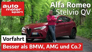 Alfa Romeo Stelvio Quadrifoglio Besser als BMW und AMG  VorfahrtReview  auto motor und sport [upl. by Arerrac607]