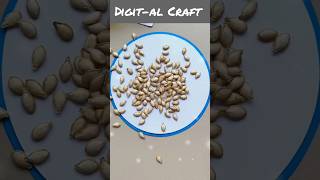 Make a Beautiful Drawing Using Seeds diycrafts youtubeshorts [upl. by Acsot187]