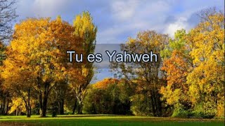 Tu es Yahweh Alpha et Oméga  Instrumental piano [upl. by Serdna]