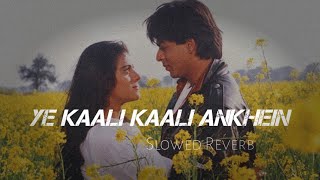 Ye Kali Kali Ankhein  Lofi Song  Anu Malik srlofi71 [upl. by Amahs107]