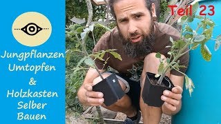 Jungpflanzen umtopfen amp Holzkasten selber bauen DIY Folge 23 [upl. by Pol]