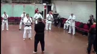 jujitsu karate ko waza 00 [upl. by Arnold]