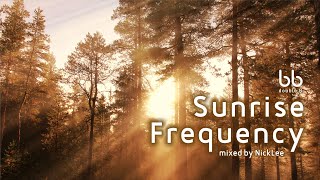 Sunrise Frequency｜Melodic  Progressive House Mix [upl. by Hendry]