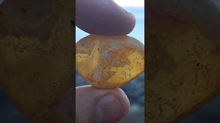 Carnelian Agate Nodule on the Beach  Episode 37 [upl. by Holbrooke378]