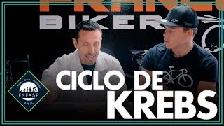 CICLO DE KREBS Y LA ENERGÍA DEL CUERPO PARA EL DEPORTE [upl. by Gwenore990]