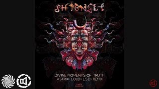 Shpongle  Divine Moments of Truth Astrix LOUD amp LSD Remix [upl. by Ecniuq261]