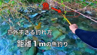 距離１mの魚釣り。意外に美味しいあの魚を本気で調理した結果‥ [upl. by Larok]