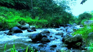 Relaxing river sound of mountain streams for deep sleep mind refreshing stress relief and yoga [upl. by Elehcin]