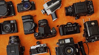 My Film Camera Collection in 2024 [upl. by Grigson]