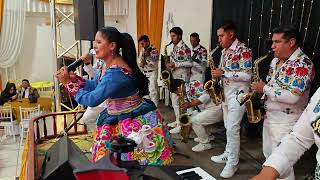 MIX CARNAVALES AYACUCHANOS 🌹 Mariflor Gómez Y ORQUESTA [upl. by Yaj]