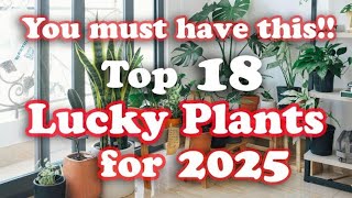 Lucky Plants 2025  Health Wealth amp Prosperity [upl. by Aiclef718]