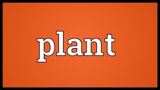 Plant Meaning [upl. by Philipps]