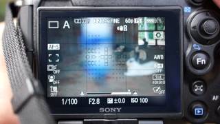 Sony a99 5 AF Range field tests [upl. by Demaggio]