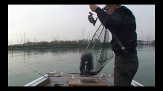 Ferrata Spigola  pesca in mare con il cefalo vivo [upl. by Artap]