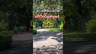 Romania to Switzerland  Jobs shengenvisa romania switzerland srilanka findajob [upl. by Shinberg]