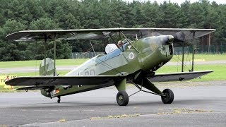 Bücker Bü 131 Jungmann Landung 292017 [upl. by Hamehseer]