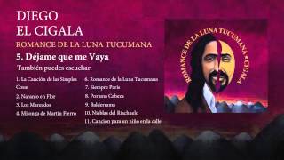 Diego el Cigala  Déjame que me vaya con letra [upl. by Llehcram]